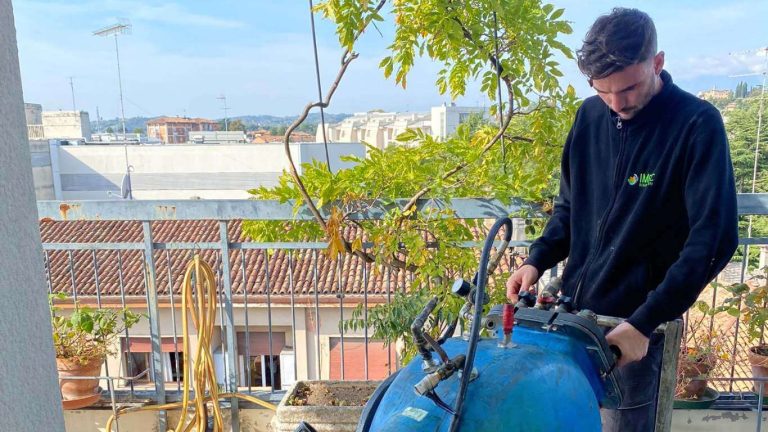 Scegliere la Migliore Azienda per il Relining: una Guida Completa