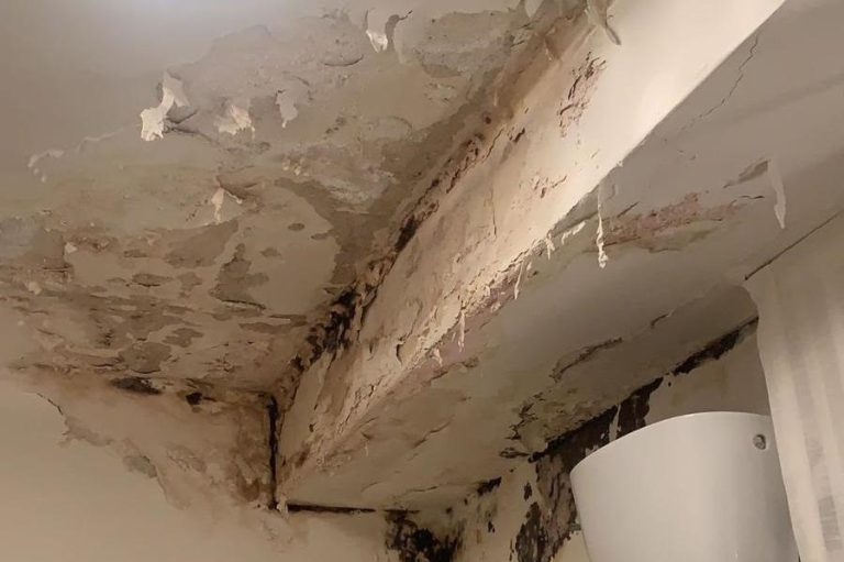 Relining fai da te: si può davvero fare da soli?