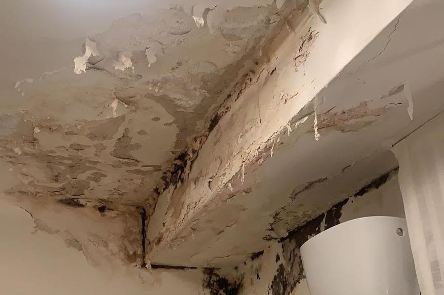 Relining fai da te: si può davvero fare da soli?